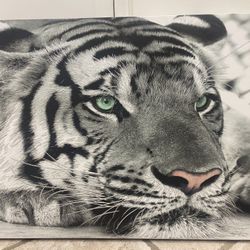 White Tiger Canvas 