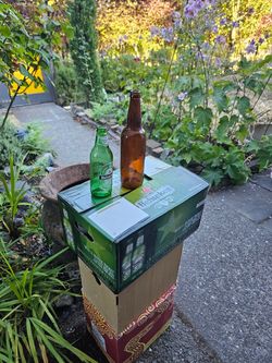 Empty bottles