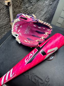 Baseball Cat x 2 and Rawlings glove T-ball
