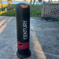 ‼️ JUNETEENTH SALE ‼️ - Century punching bag