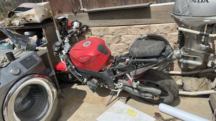 Triumph bike