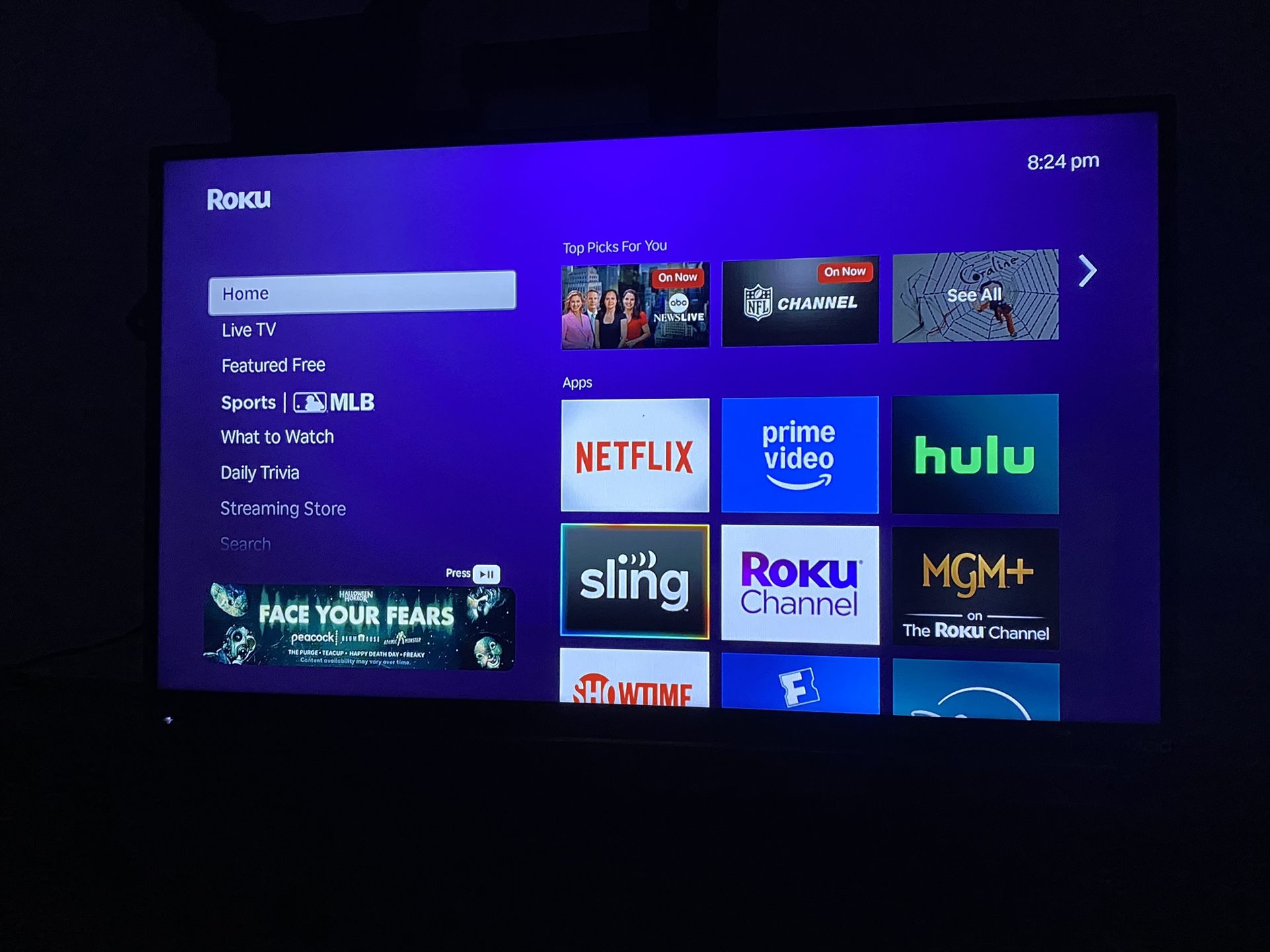 Vizio TV