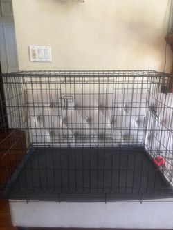 Jaula para perros