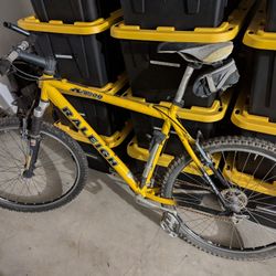 Raleigh M800 - 20" Frame