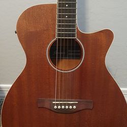 Ibanez Acoustic Electric Guitar 🎸 