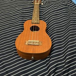 Ukulele 