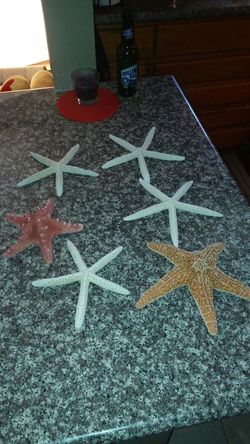 Star fish