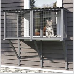 Cat Patio