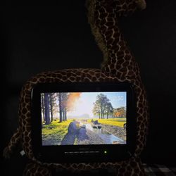 Plush Giraffe Tv (Please Read)