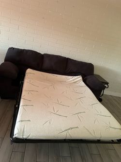 Pull out couch and love seat