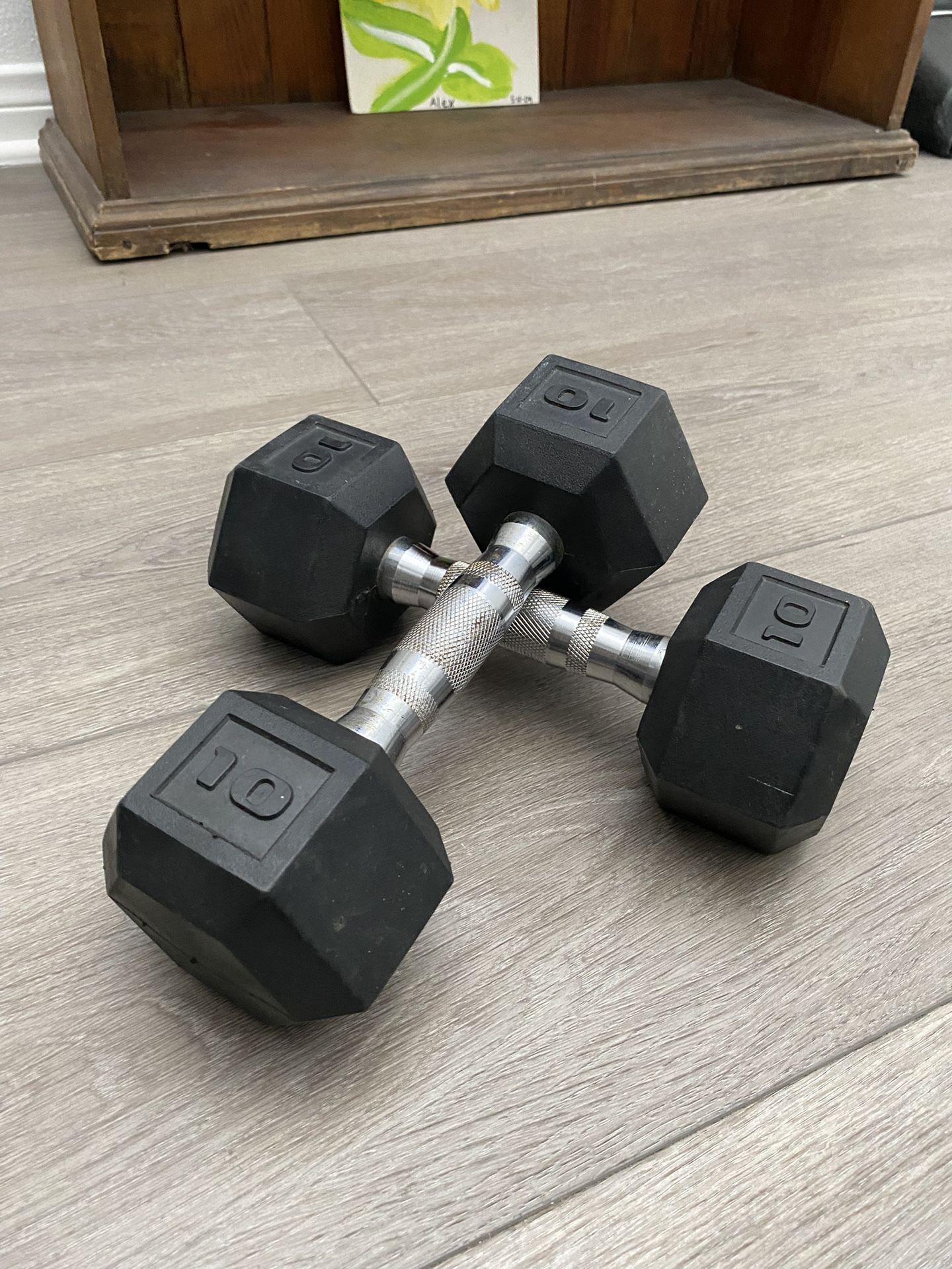 10 Lbs. Dumbbells