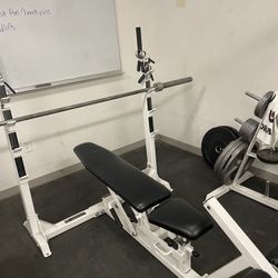 Bench Press BFS 
