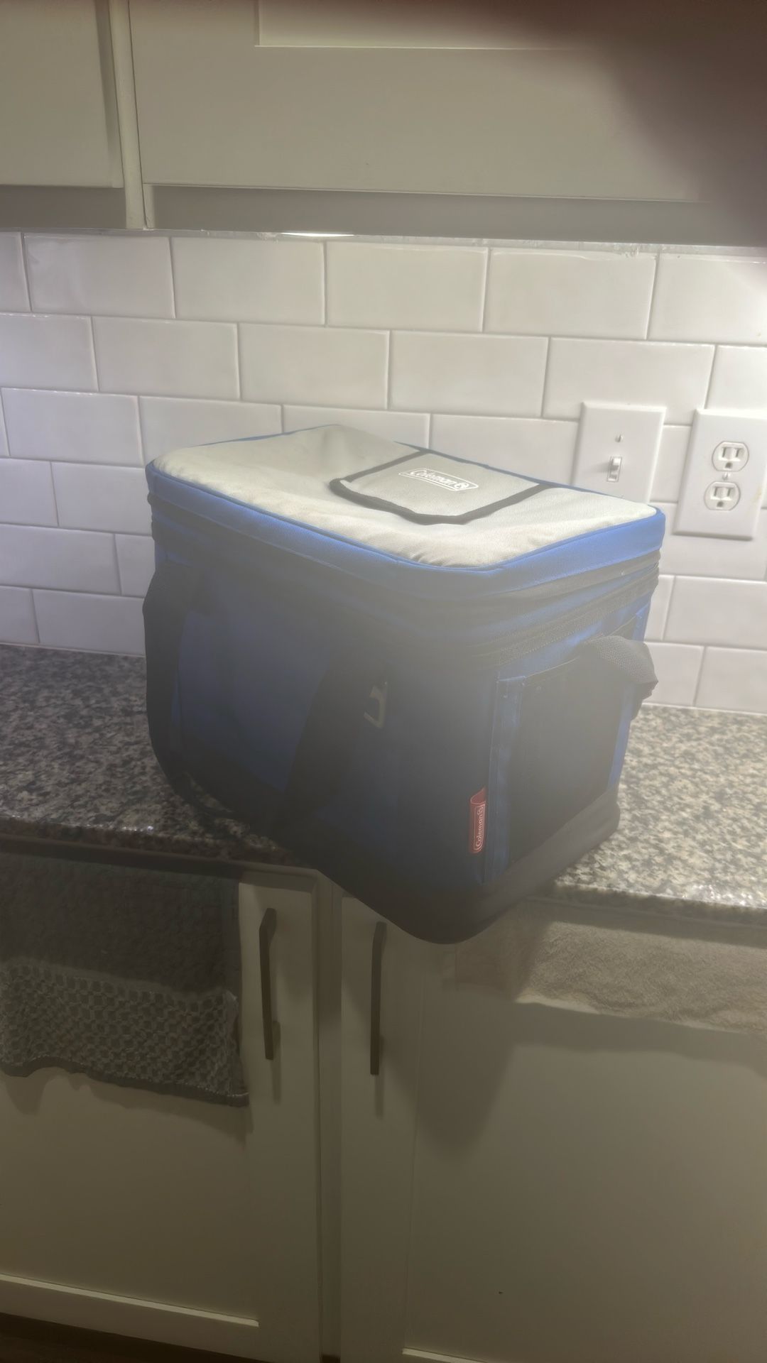 Coleman Insulated Cooler