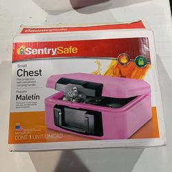 Fireproof Sentry Safe 