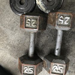 Dumbbells weights 25 Pounds 