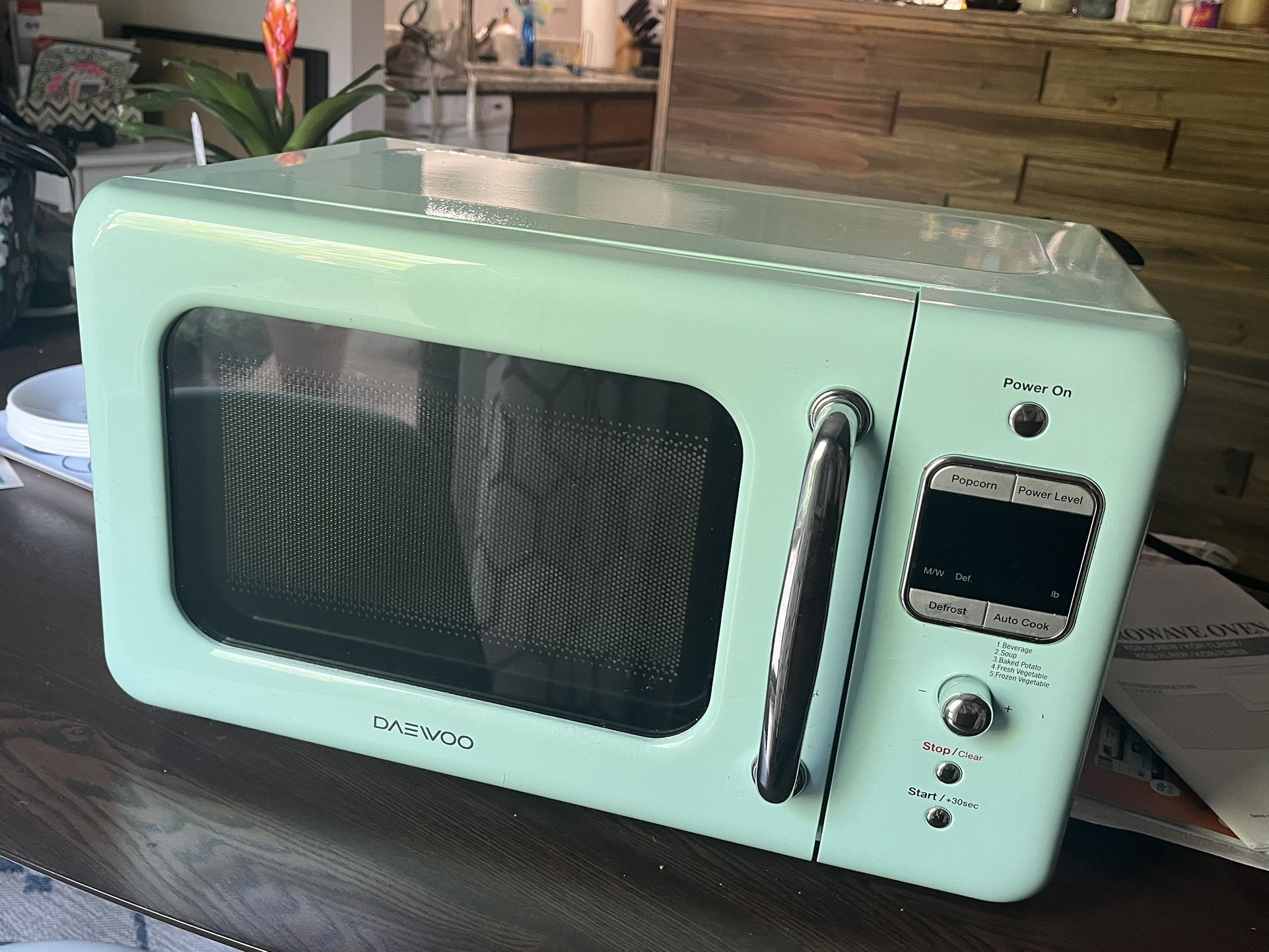 Gently Used Vintage Mint Green microwave