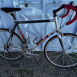 Greg LeMond Buenos Aires Road Bike handBuilt in USA