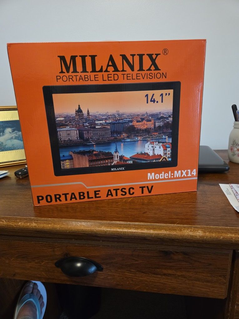 Portable TV