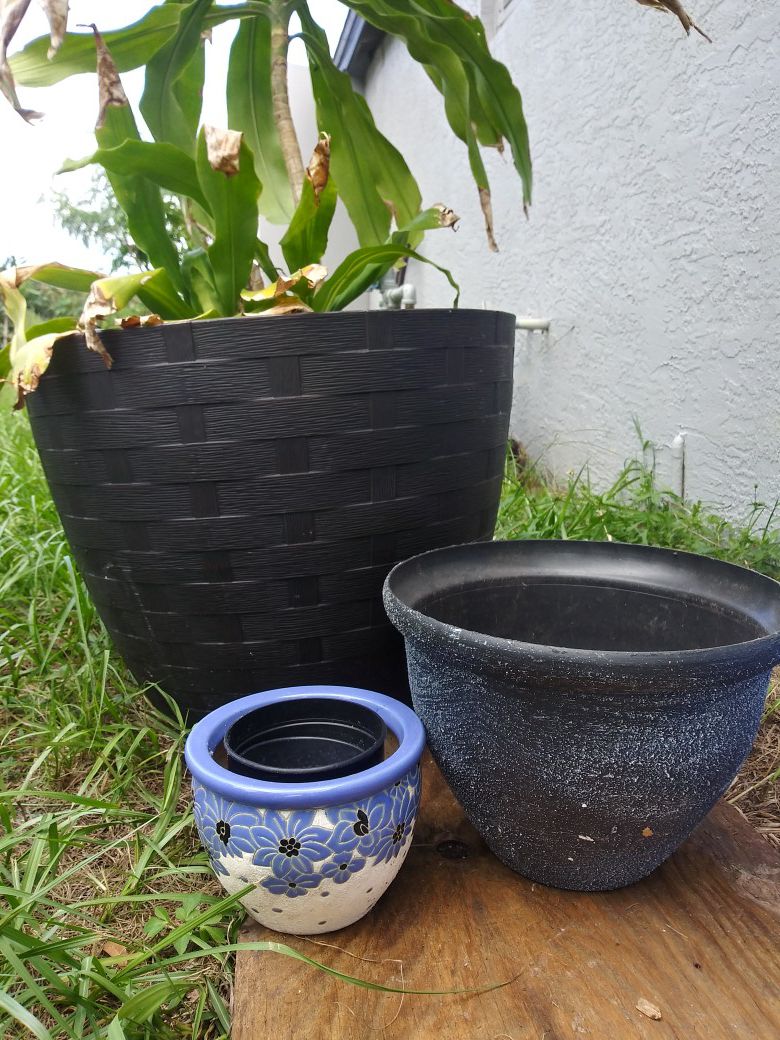 Big plant pot