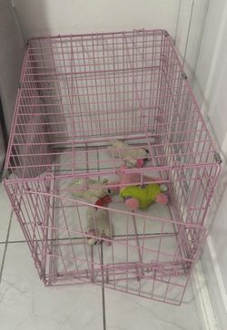 Dog cage