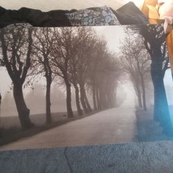 Misty Road Wall Art