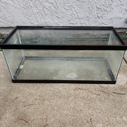 20 Gallon Tank