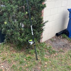 Diawa salt water fishing rod