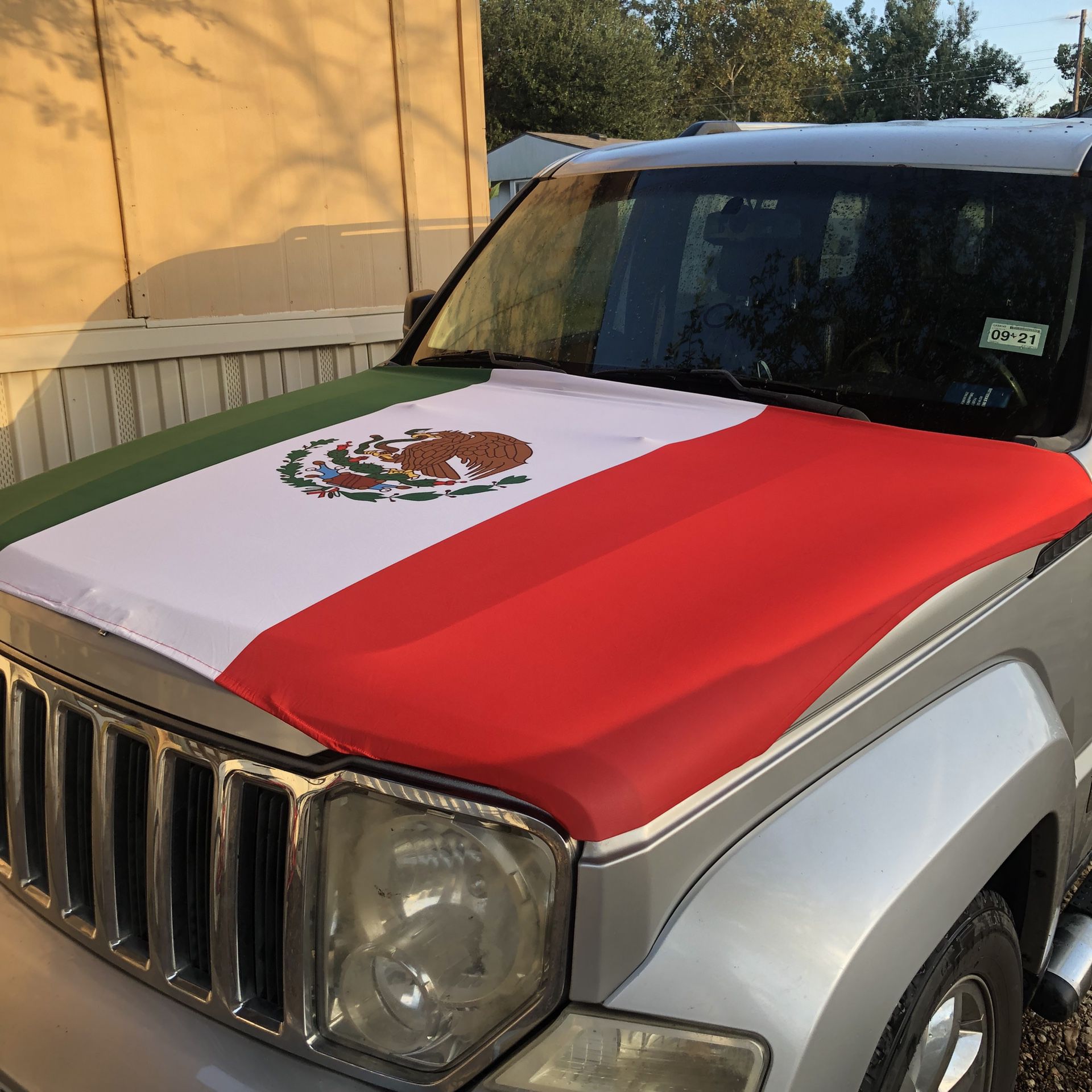 Flag Mexican 