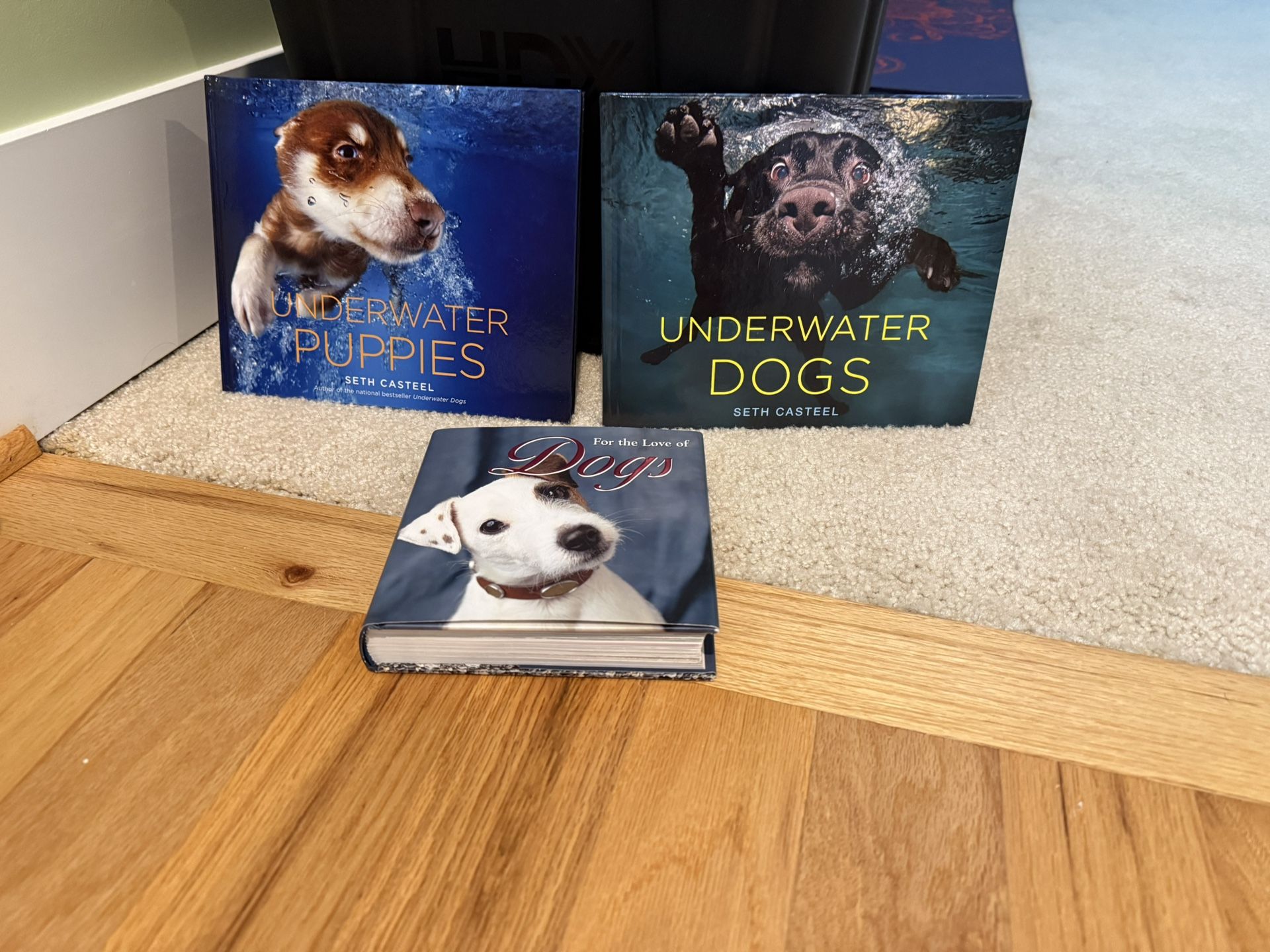Underwater Puppies & Dogs Books Set Of 3 