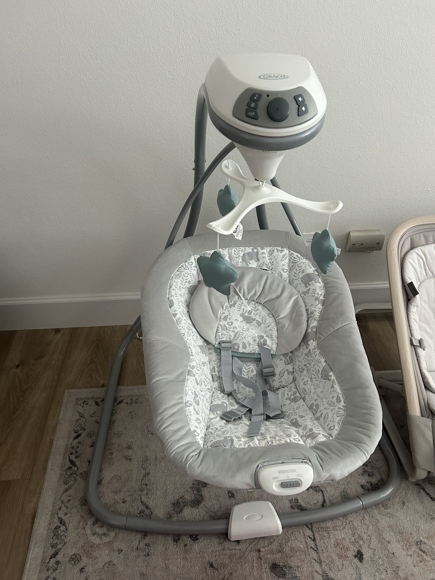 Graco Sway Swing