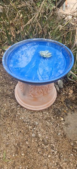 Bird bath