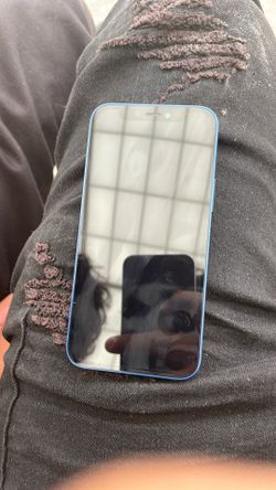 iPhone 12 mini blue