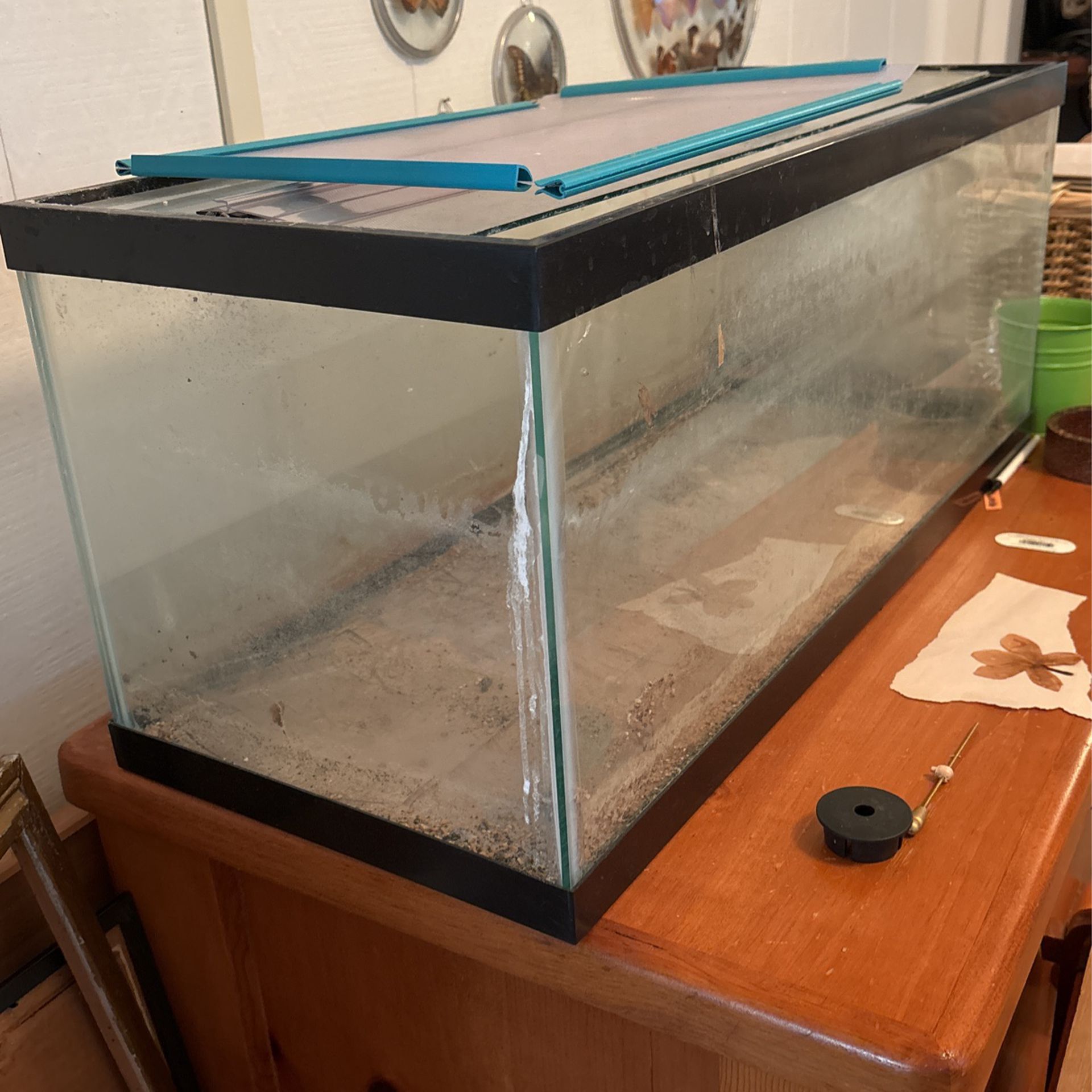 fish tank or terrarium 