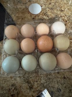 Organic eggs from our backyard