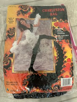 Charleston Rag Flapper Costume