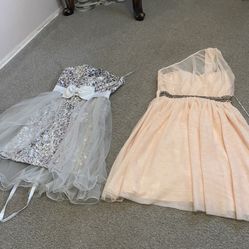 two prom dresses or homecoming dress or fiasta dress pink new tag on size medium silver like new size small 15 each 