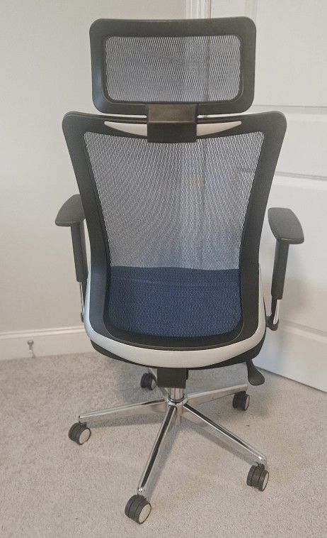 Ergonomic Office Chair