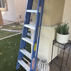 6ft Fiberglass Ladder