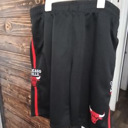 Men's Shorts Size XL