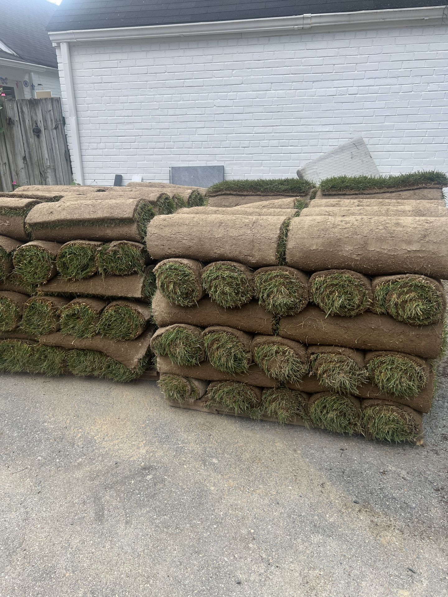 Fresh Sod 