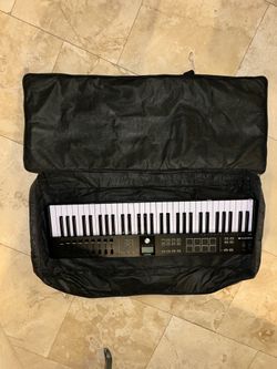 Piano bag (no piano)