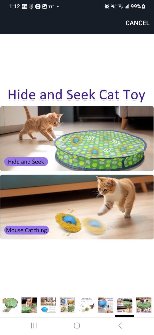 Interactive Cat Toys Ball Fast Rolling in Pouch, Motion Activate