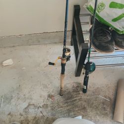 Fenwick Eagle 7ft Rod And Daiwa Revros Lt 2000 Reel