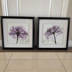 Framed Art Work
