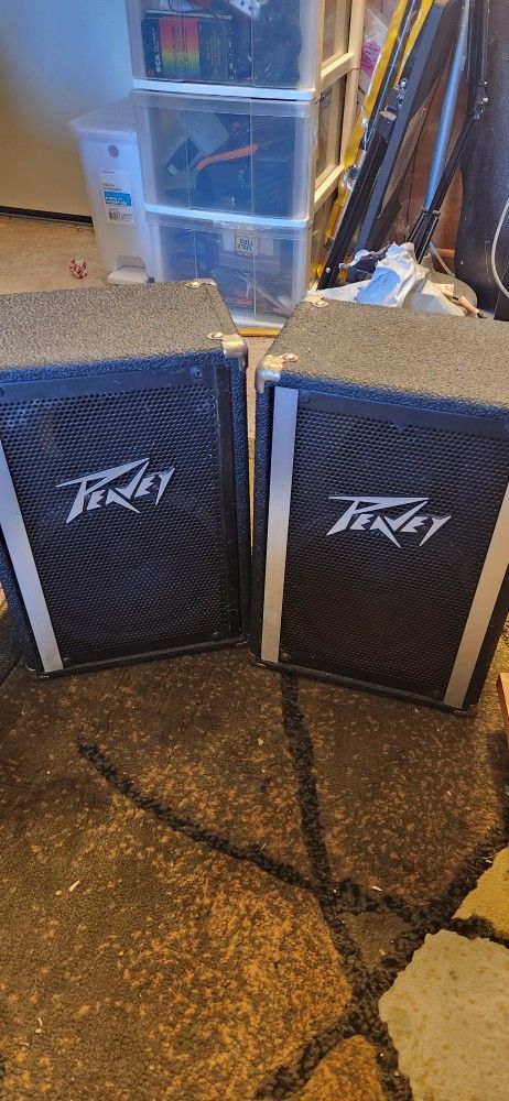 Peavey Speaker