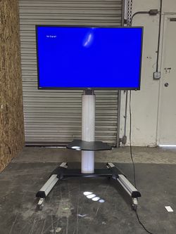 Rolling Stand W/ TCL Monitor