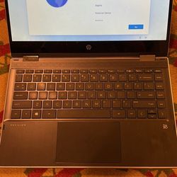 The 2-in-1 (HP Pavilion x360