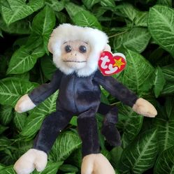 Beanie Babies Collection Mooch