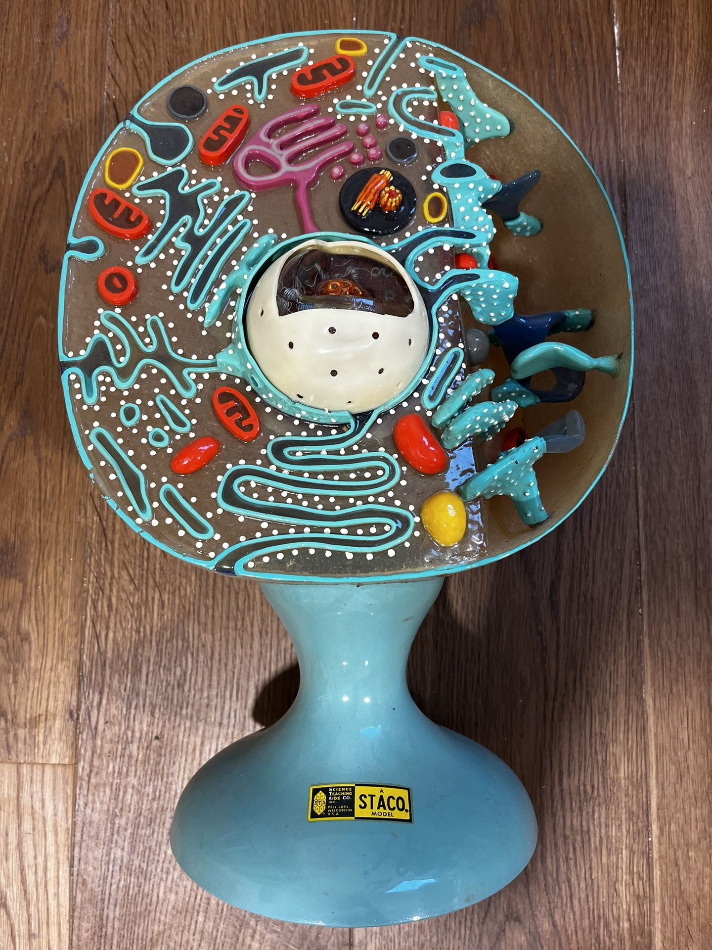 Vintage STACO Cell Model