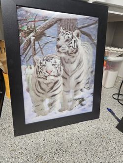 Lenticular Tiger Photo